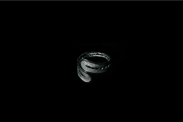 silver ring